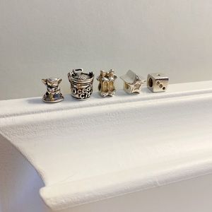 Pandora Mixed Charms
